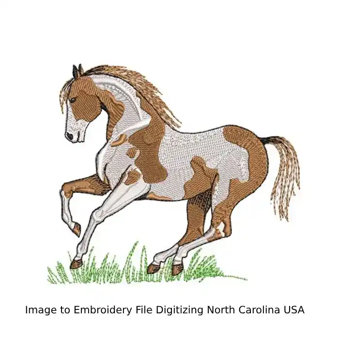 🖼️ Image to Embroidery File Digitizing North Carolina USA