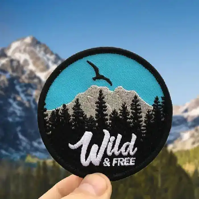 Patch Digitizing Illinois USA